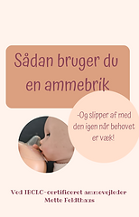 Sådan bruger du en ammebrik.png