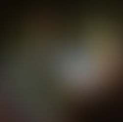 Einsatzübung "Forstunfall"