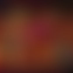 La Ofrenda, the altar created to honor loved ones during Día de los Muertos.