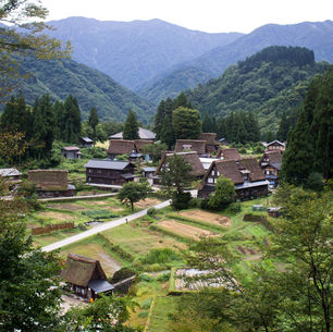 Japanese Contemporary Small Houses