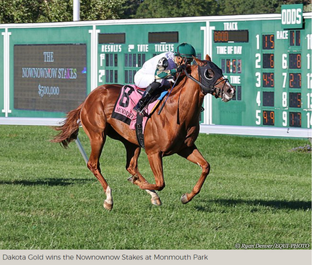 Dakota Gold Takes Down Nownownow Field at Monmouth