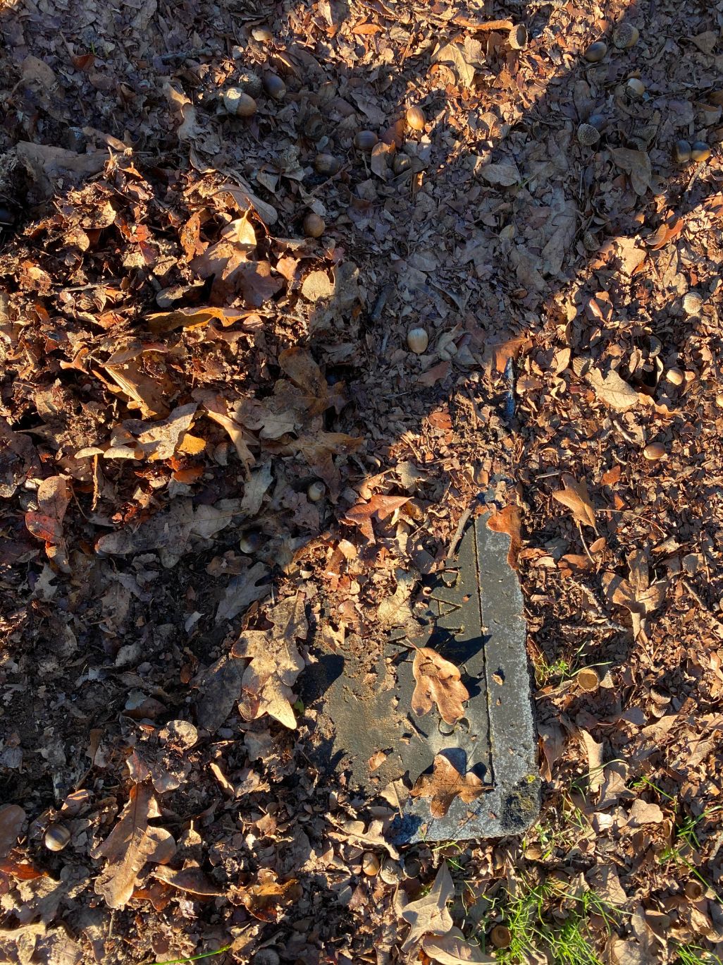 Leaf Covered Grave