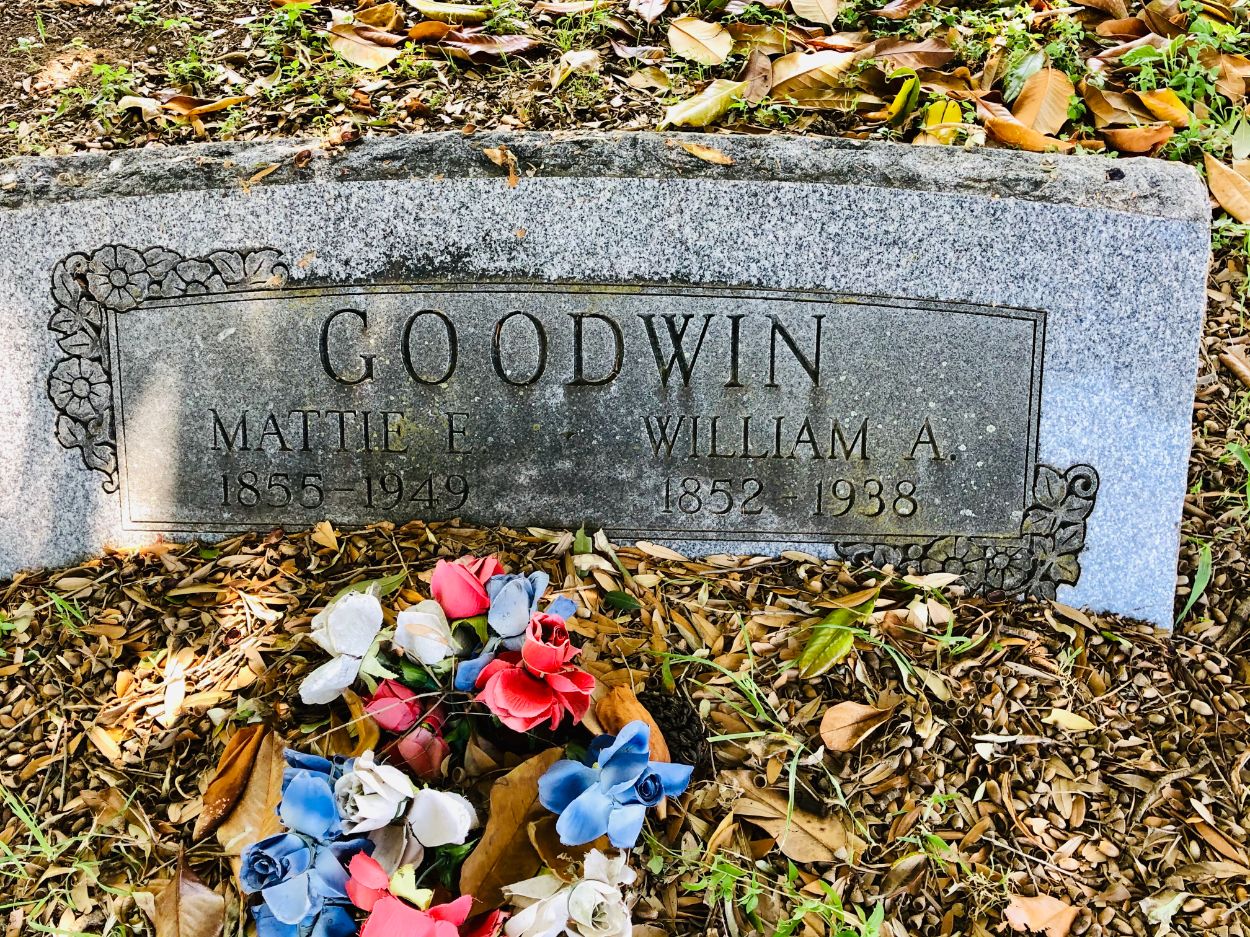 Goodwin