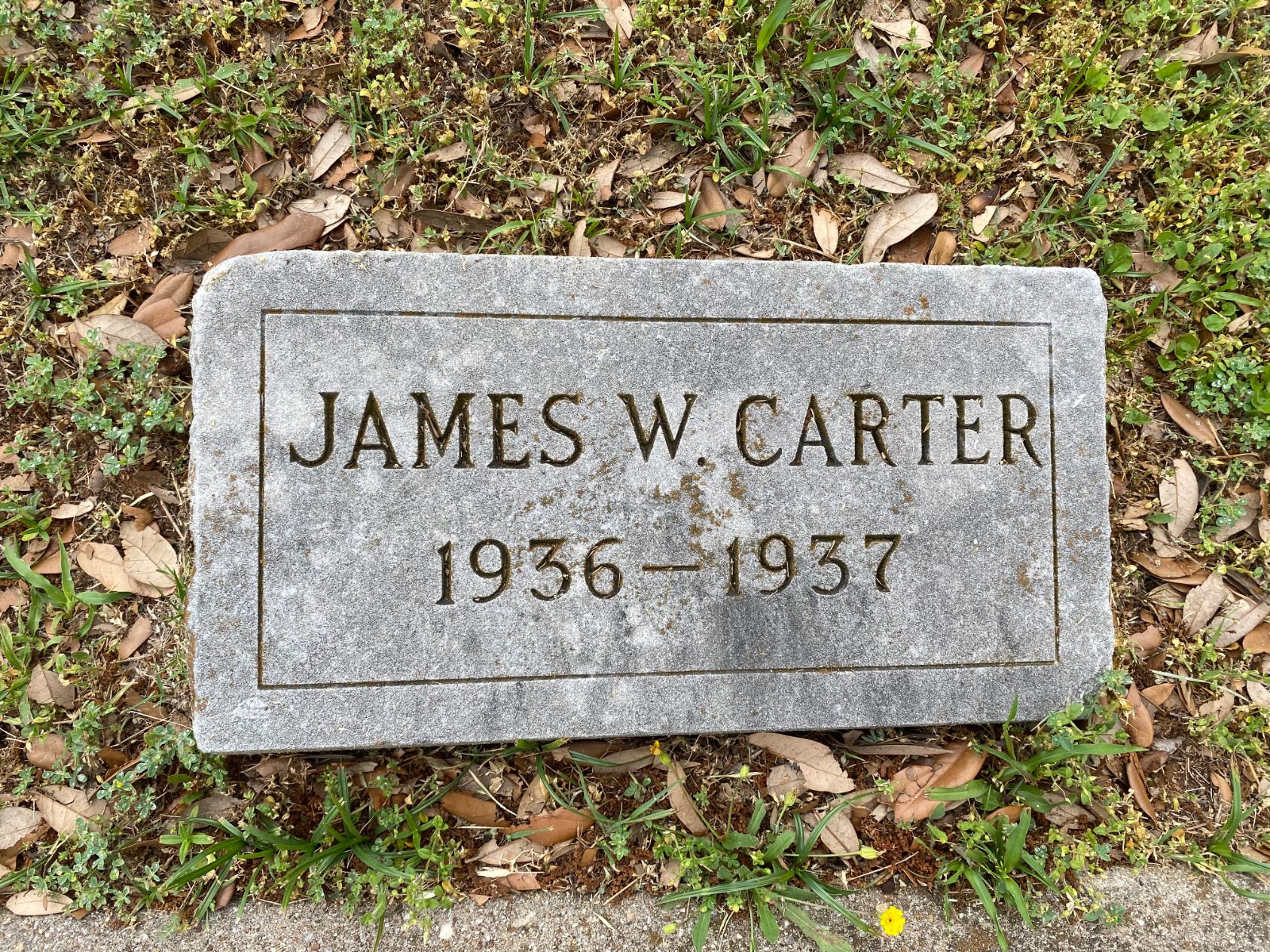 Carter