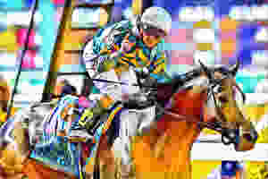 Honor Code Original Photo by Eric Kalet