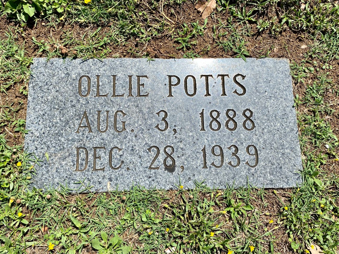 Potts