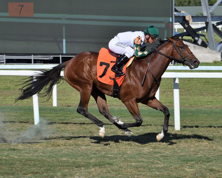 racing news Big Invasion the Texas Glitter credit Lauren King.JPEG