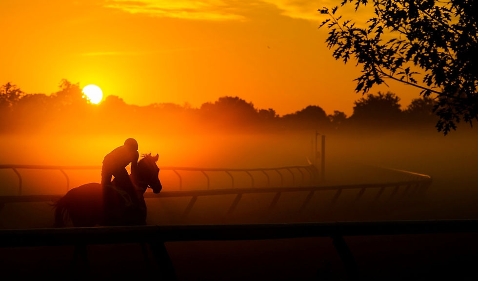 Person on a horse at sunrise