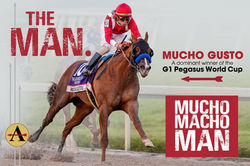Mucho Gusto G1 Pegasus World Cup