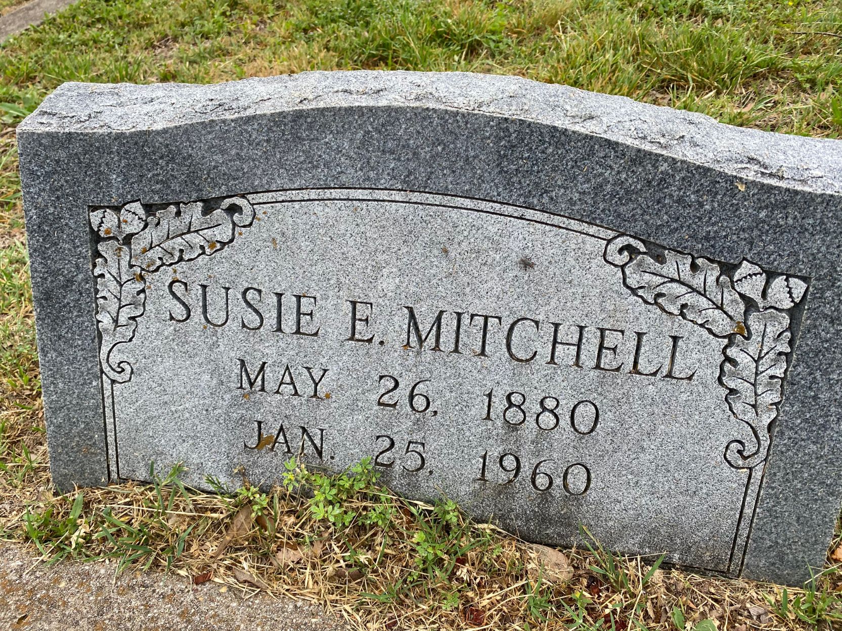 Mitchell