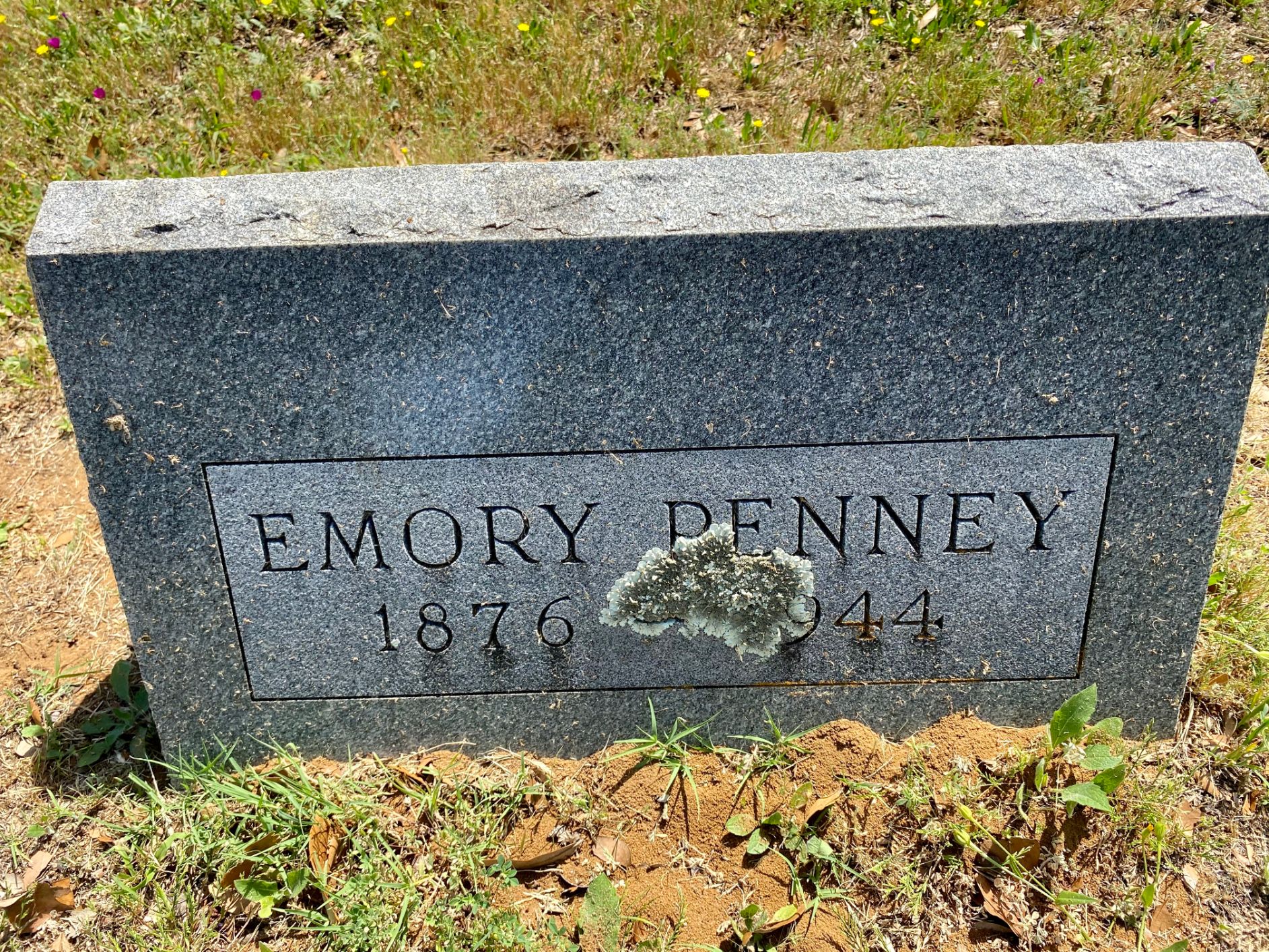 Penney