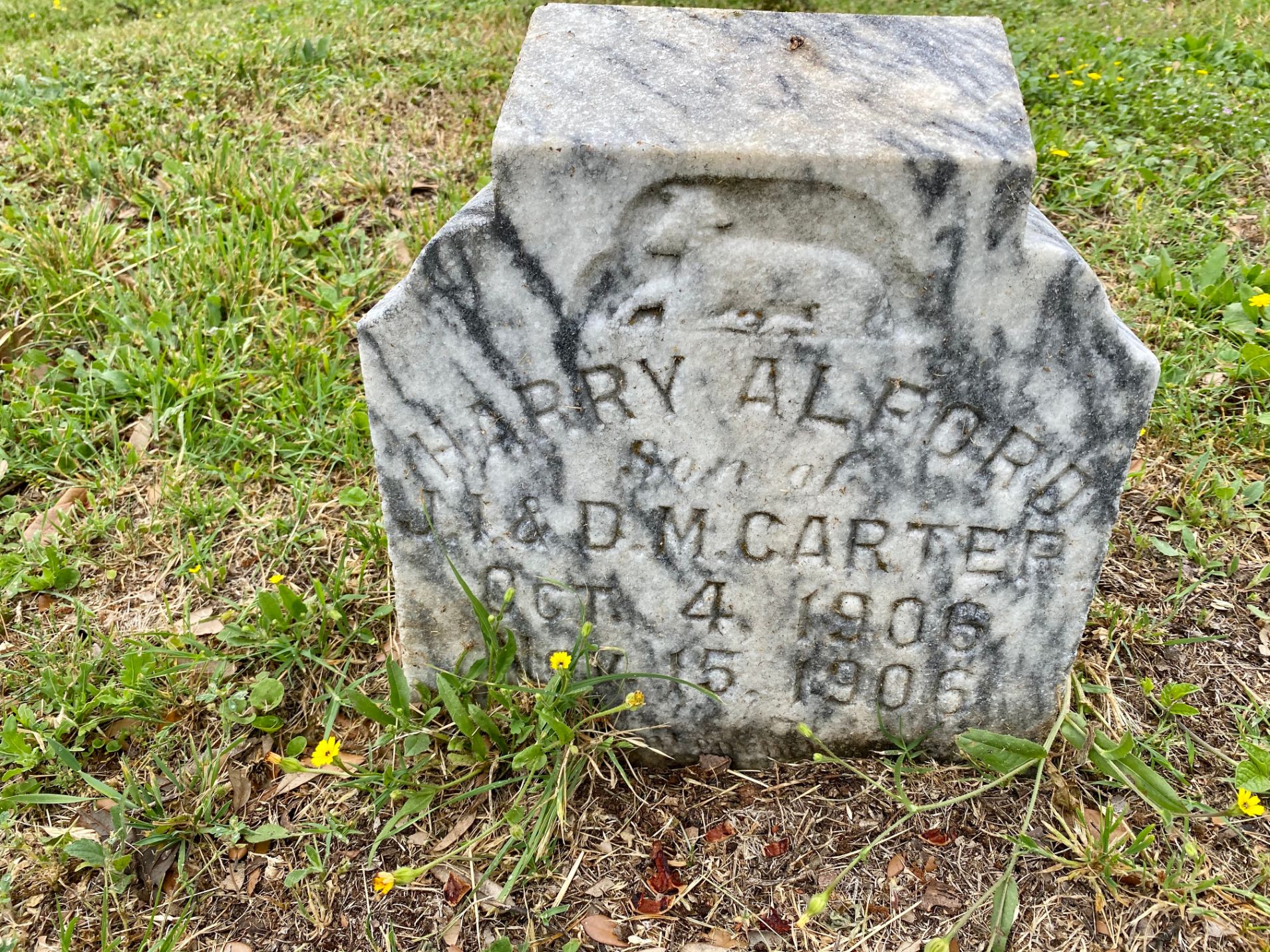 Son of J.I. & D.M. Carter