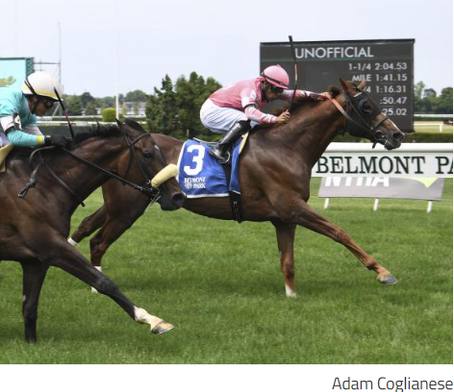 Channel Maker digs deep to win Grand Couturier Stakes
