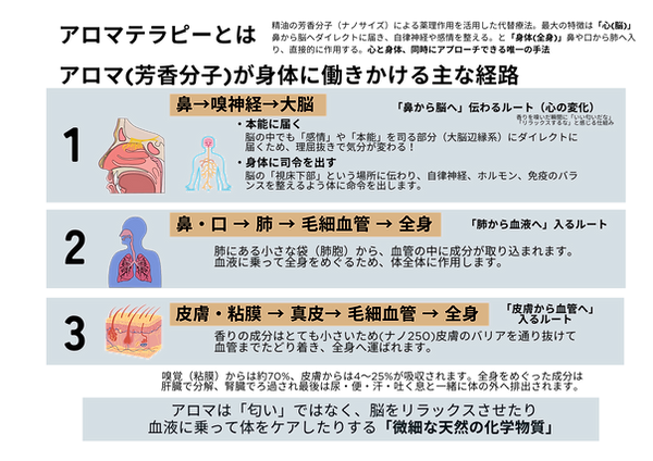 🟦サッカー✖️アスリートネのコピーのコピー.png