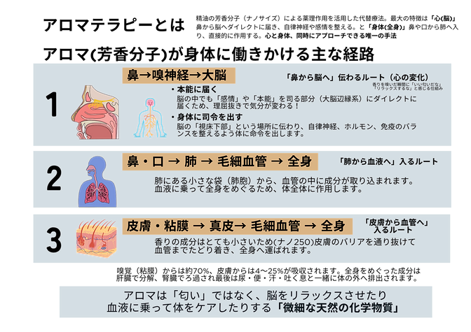 🟦サッカー✖️アスリートネのコピーのコピー.png