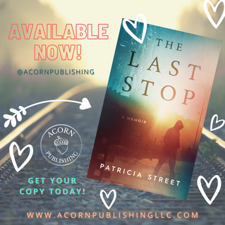 RELEASE DAY - The Last Stop