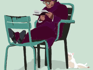 Please do not feed Aggie the cat