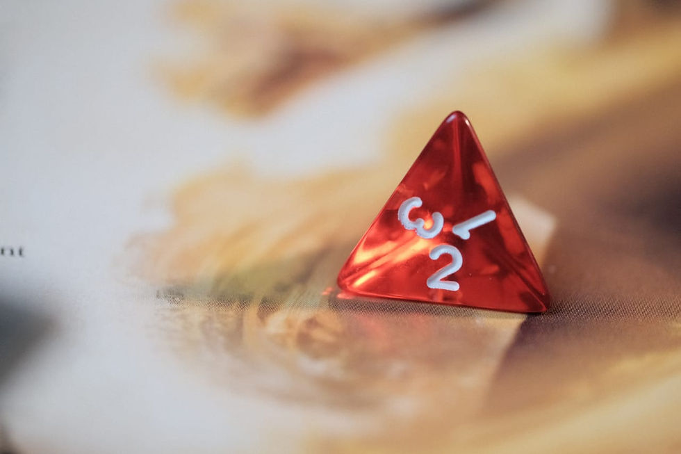 d4.jpg