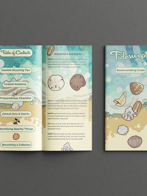 Activity Guide Brochure