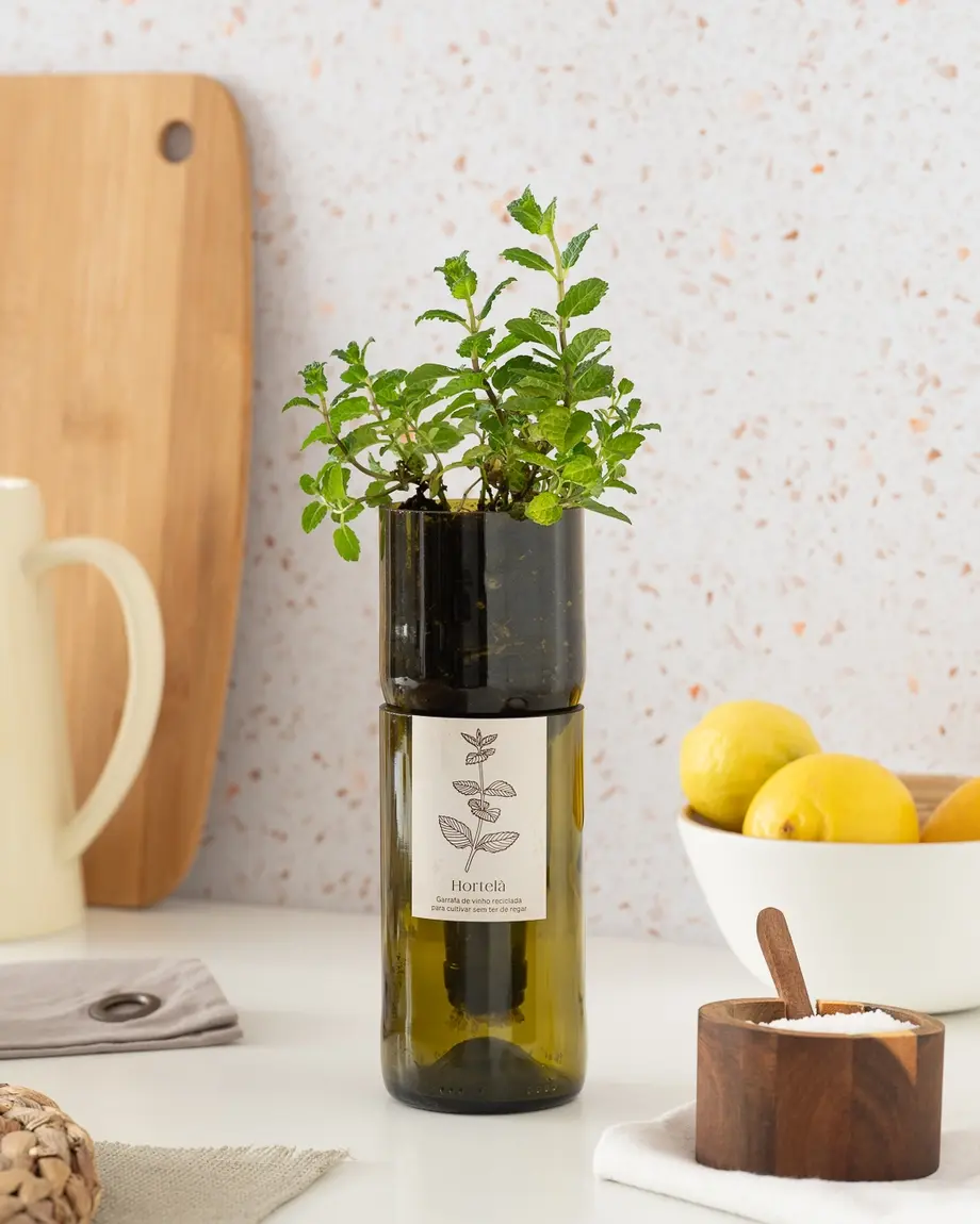 Miniatura: Vaso Grow Bottle Menta