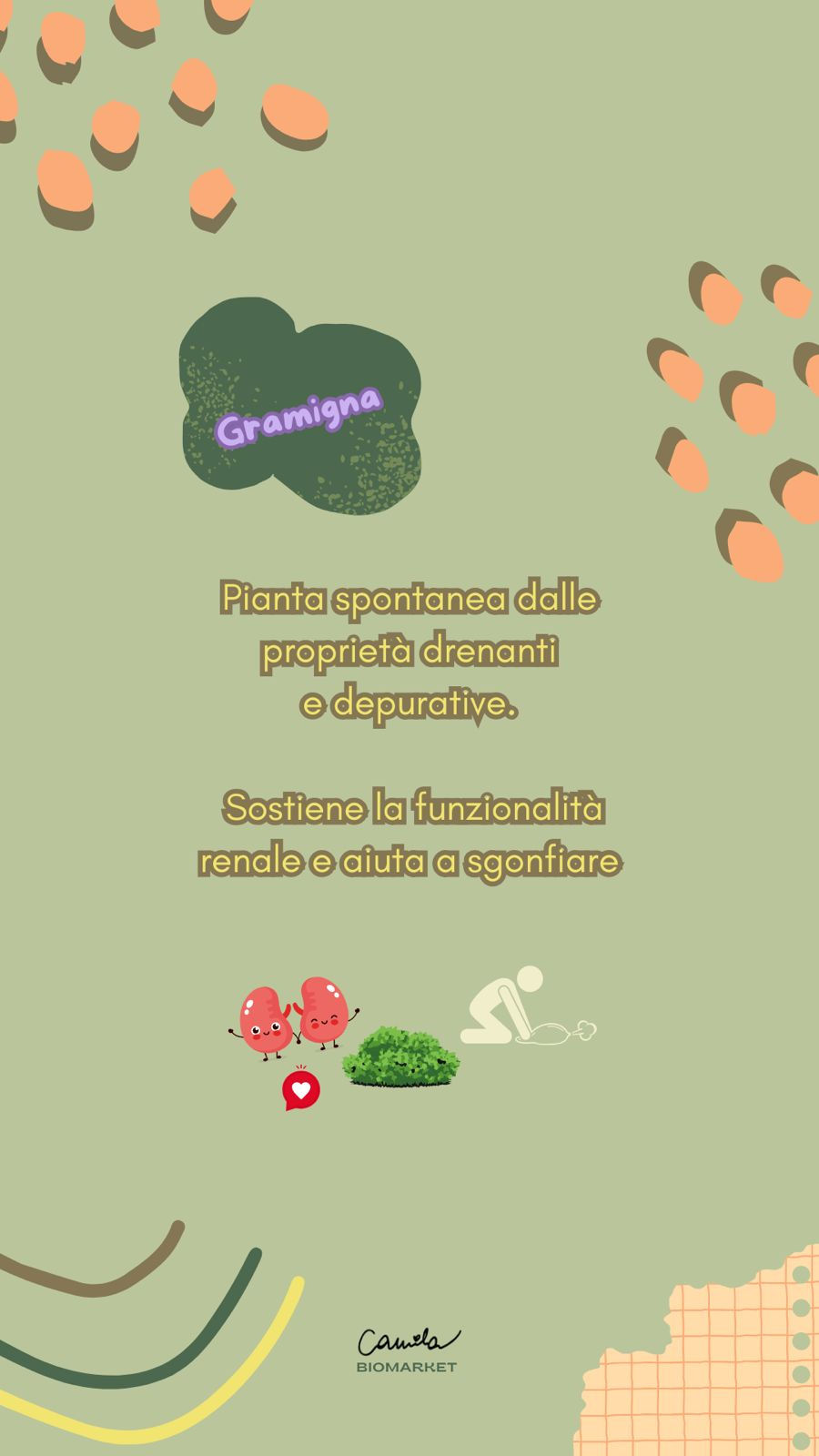Miniatura: Gambe leggere | Tisana per la microcircolazione