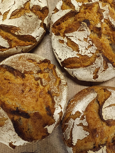 WhatsApp Image 2025-11-23 at 13.13.12 (1).jpeg