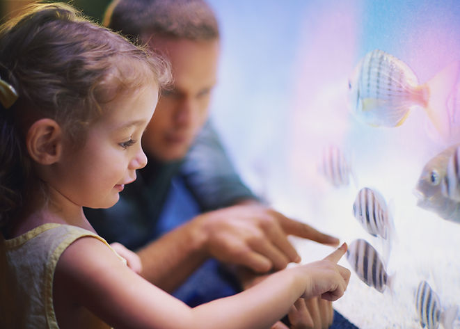 enfants regardant poissons