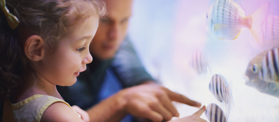 רגישות יתר אצל ילדים