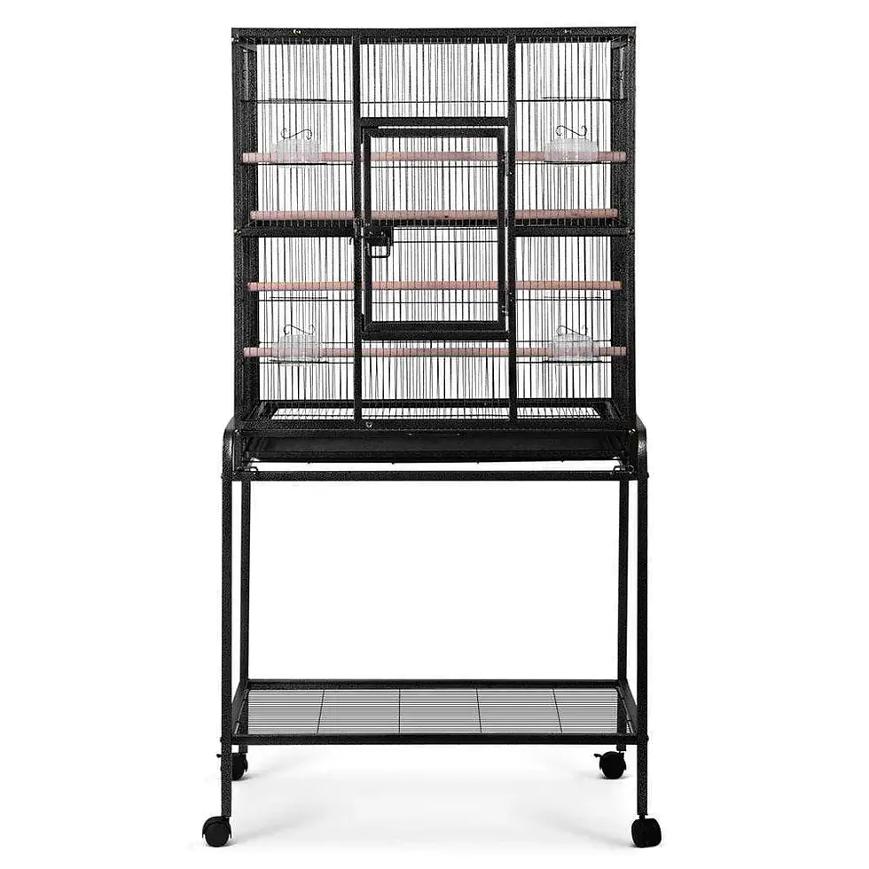 Ιδανικό κλουβί για παπαγάλους κοκατίλ