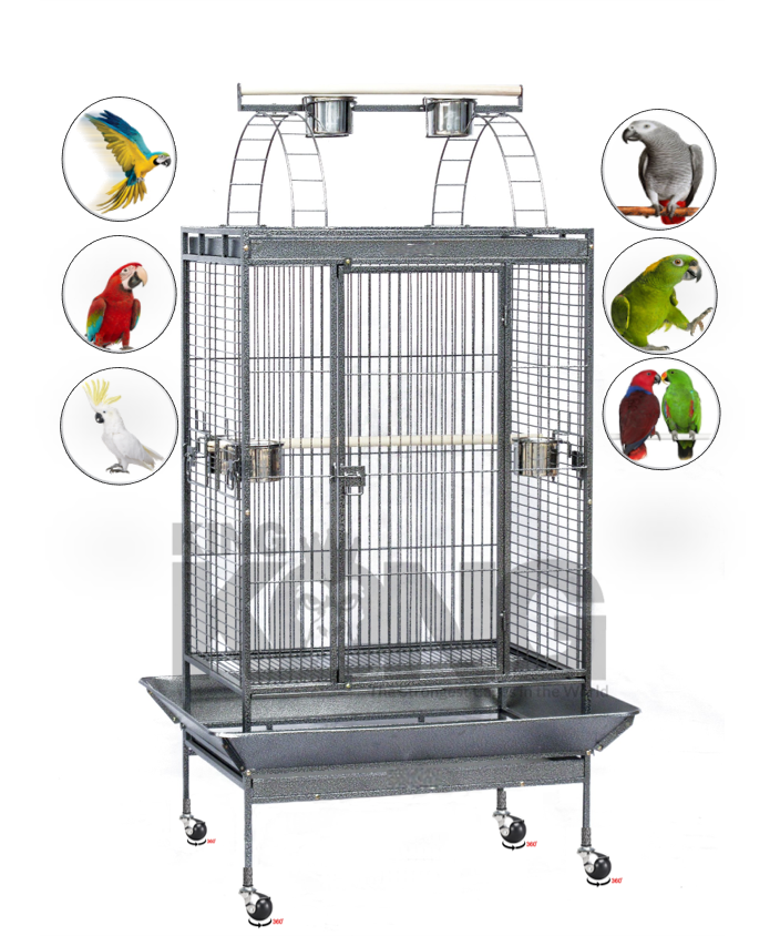 Μικρογραφία: κλουβιά-ζακό-αμαζονίου-εκλέκτους-μεσαίο-μεγέθους-kingkongcages