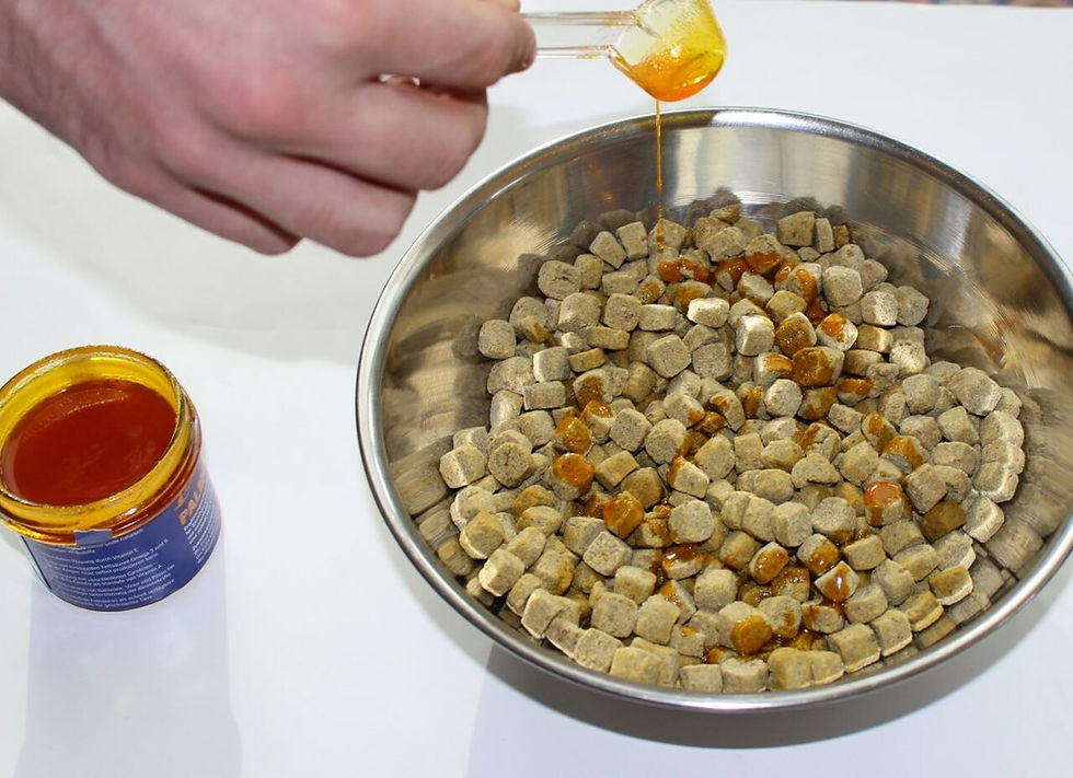 Τροφή για παπαγάλους συμπλήρωμα απο φοινικέλαιο plamgloss zazoopet