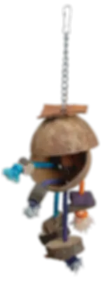 Ταίστρα για παπαγάλους απο καρύδα με παιχνίδι αναρρίχησης