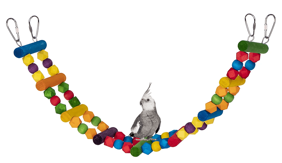 Γέφυρα κλουβί για παπαγάλους κρεμαστή παιχνίδι κοκατίλ, ρίνγκνεκ, μονκ