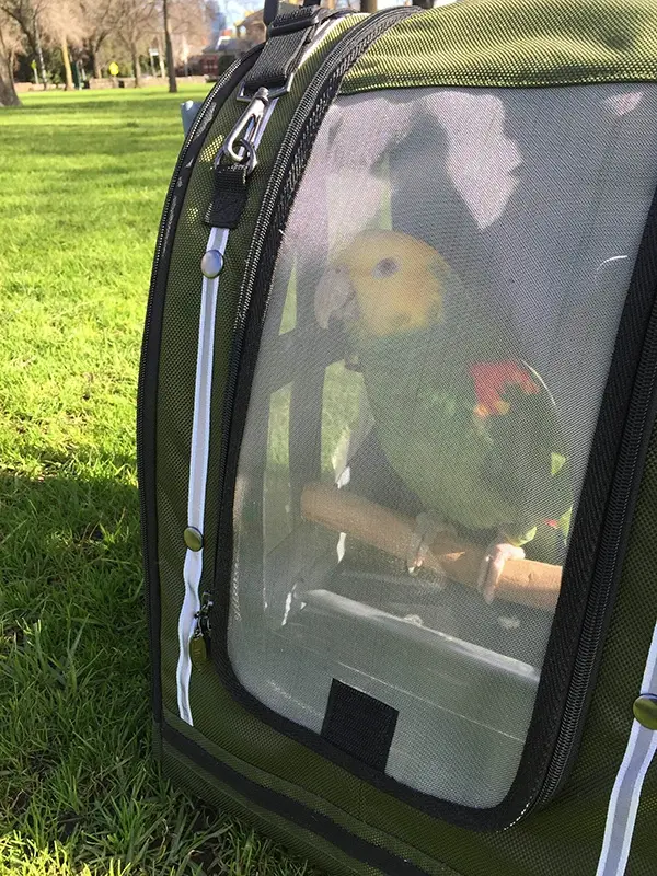 Miniaturbild: Σακίδιο πλάτης για παπαγάλους kingkong on ride