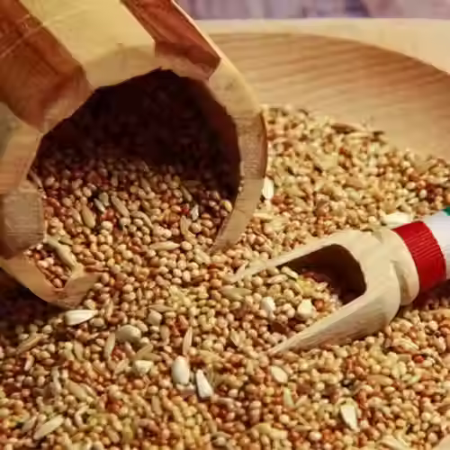 Τροφή για παπαγαλάκια Μπάτζι και παραδείσια