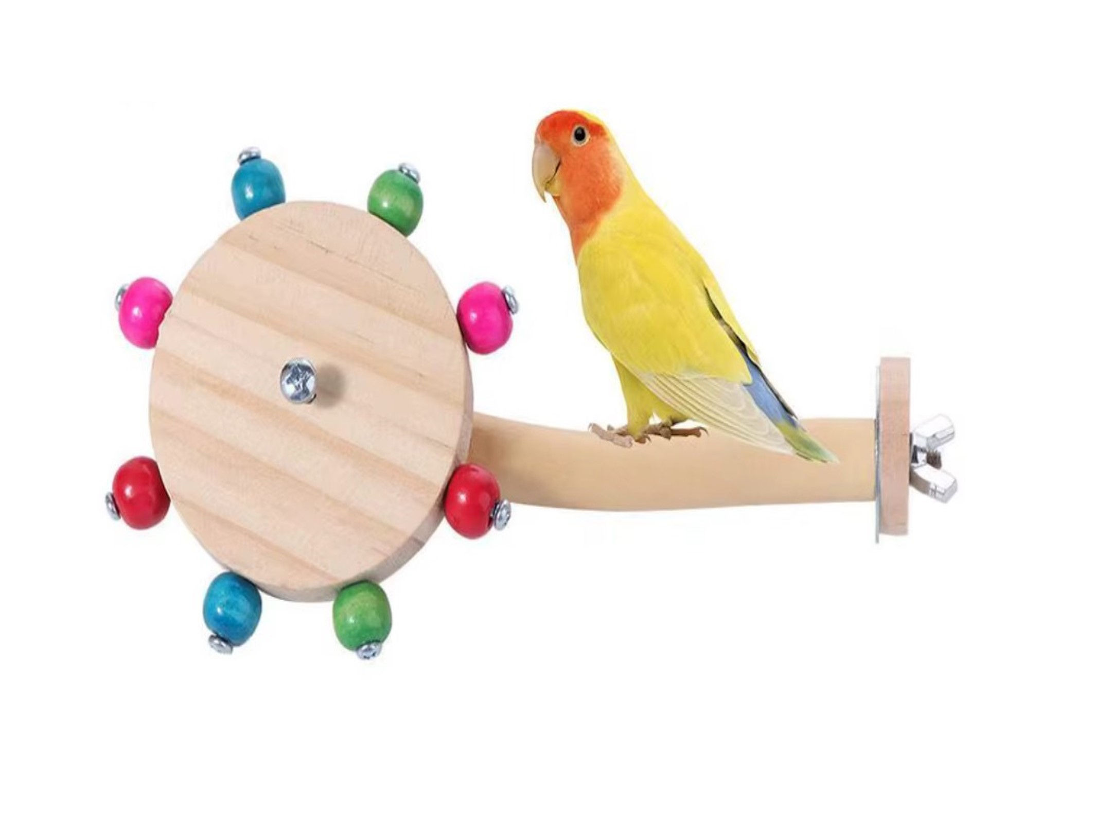 Πατήθρα για παπαγαλάκια με παιχνίδι