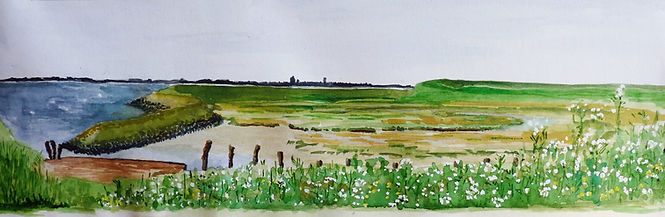 Ilse van Loo cursus aquarel.jpeg