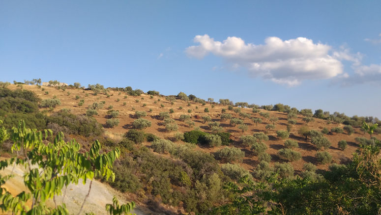 Φωτογραφία από Ηλιόκαστρο Ερμιονίδας Μεταλλεία - Αγία Βαρβάρα