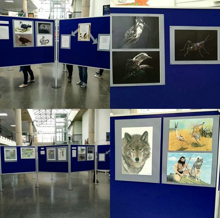 Exposición