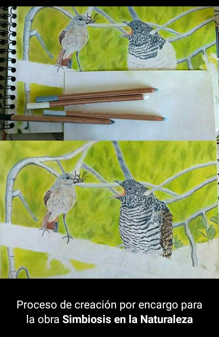 Proceso creativo