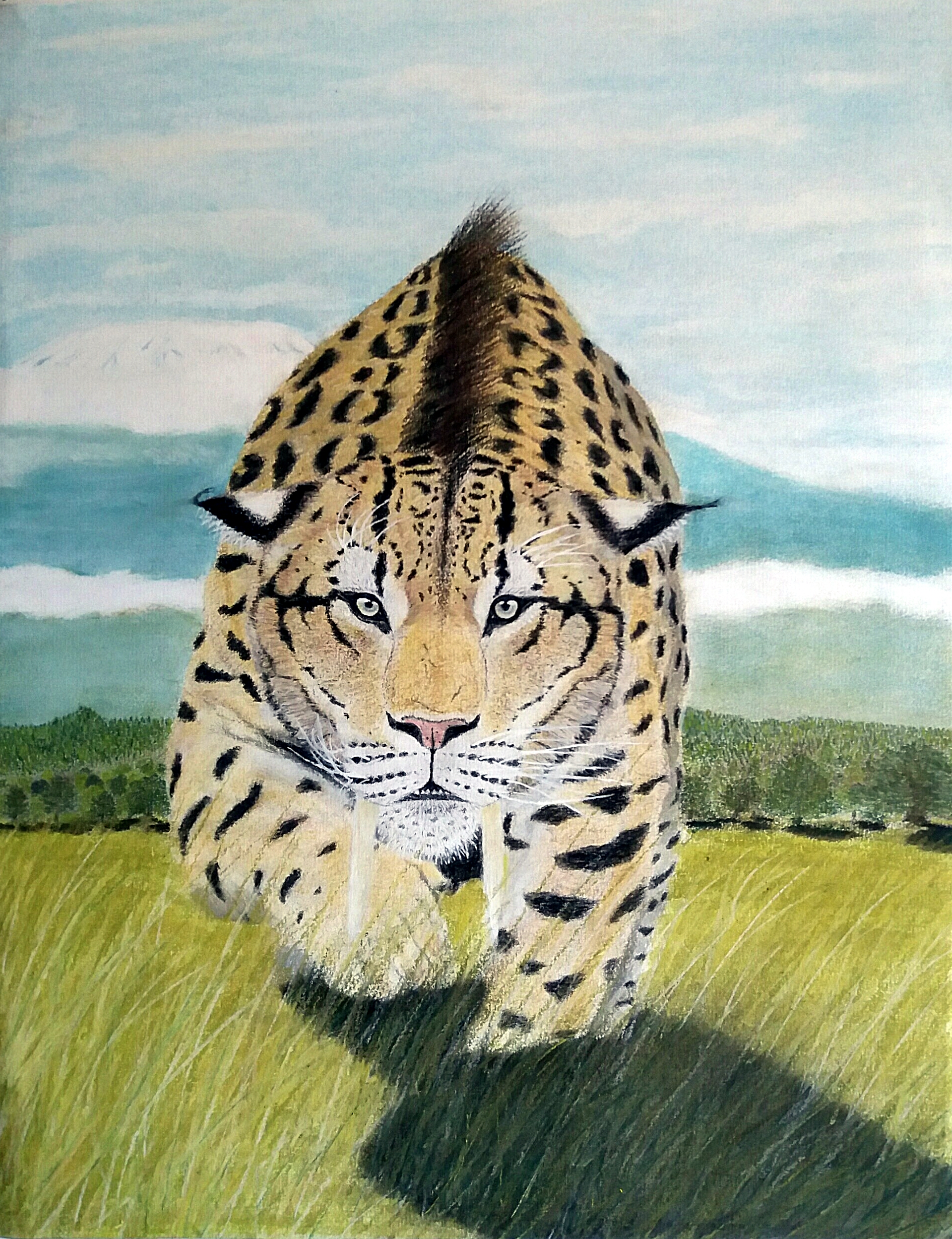 Mis pinturas