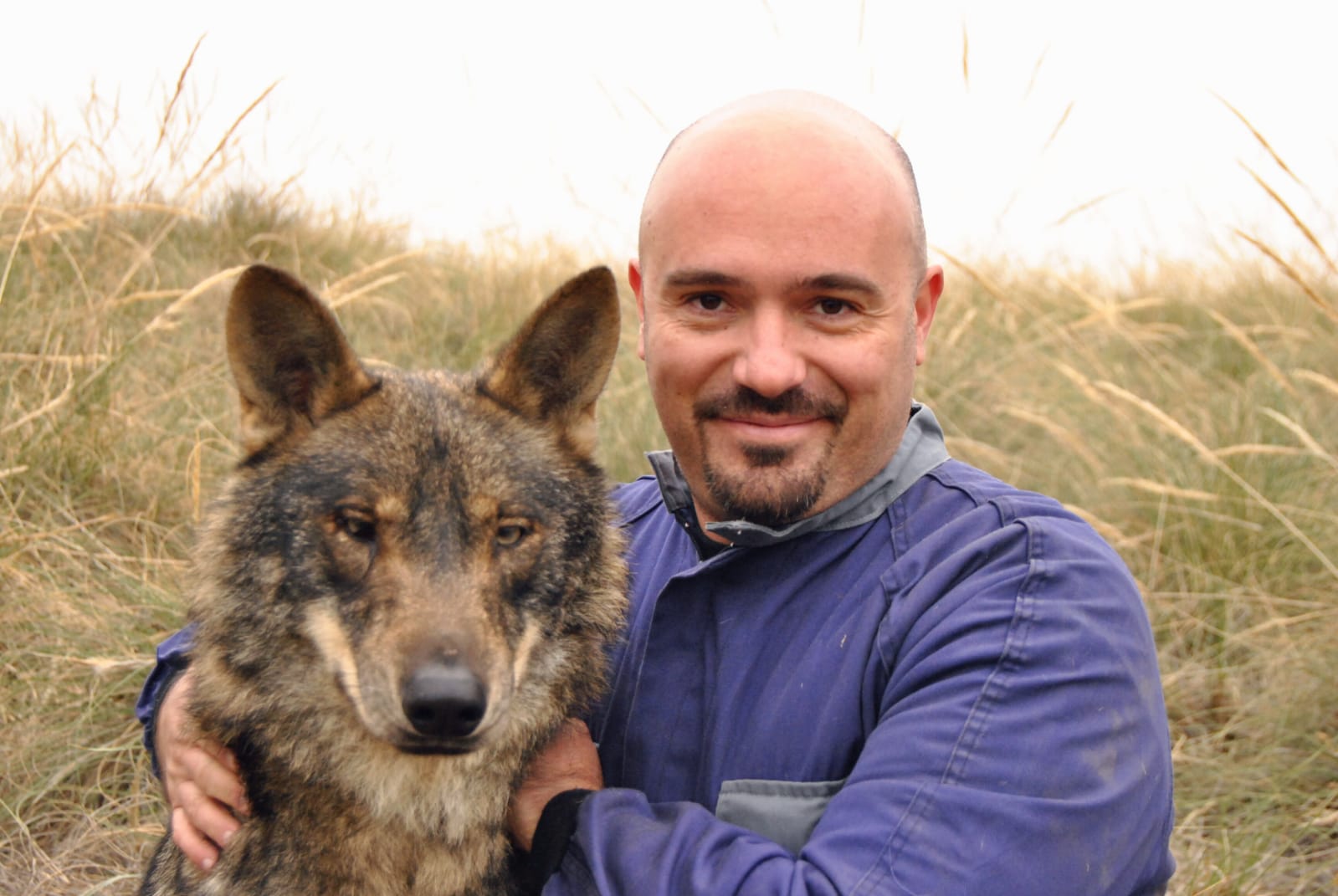 Curso de Etología del Lobo