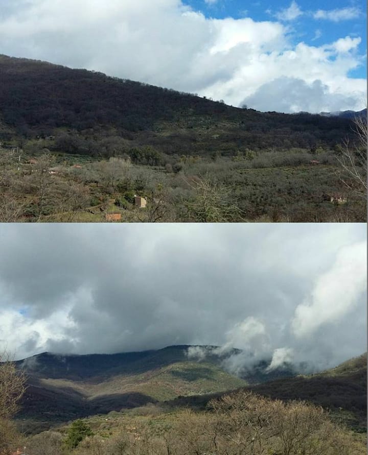 Fotografías propias