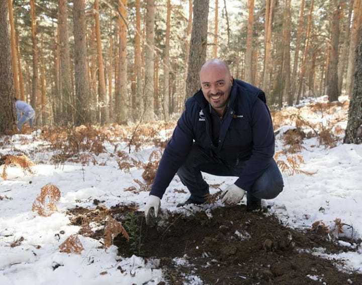 Plantando árboles