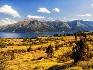 Campos en la Patagonia: tres mercados distintos, una sola decisión de inversión