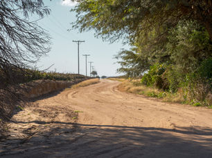 El boom del alquiler rural en Argentina: por qué cada vez más propietarios eligen arrendar antes de vender