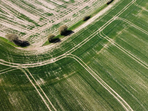 Cómo se tasa un campo en Argentina: los factores que determinan el precio por hectárea