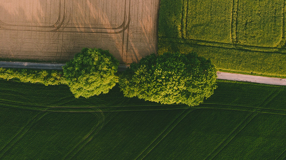 Venta de campos productivos: guía para el inversor
