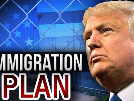 ¿Por qué ordenó Trump buscarles delitos a los haitianos con TPS?