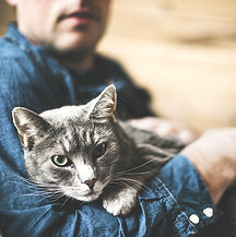 Grey Cat_edited.jpg